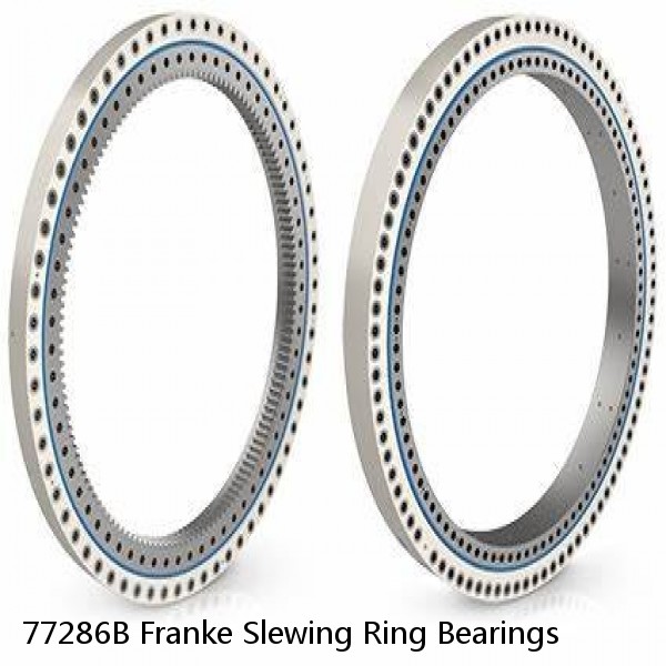 77286B Franke Slewing Ring Bearings