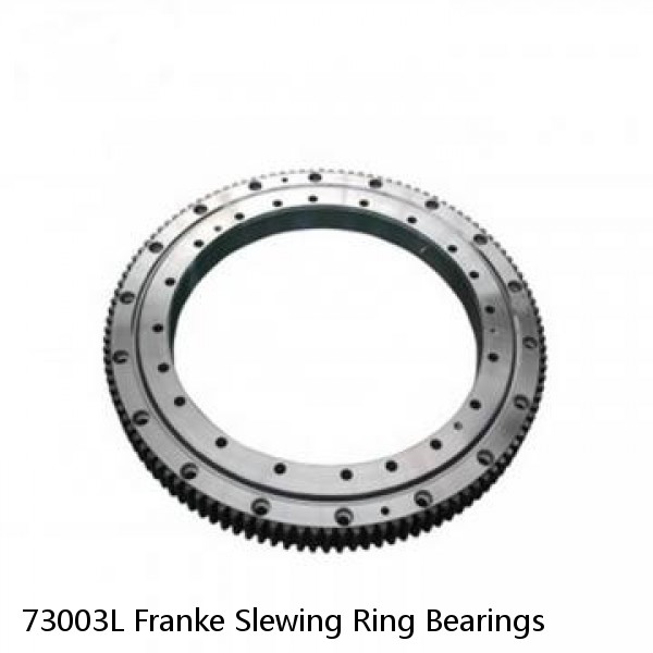 73003L Franke Slewing Ring Bearings