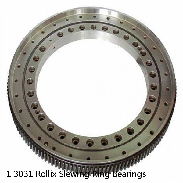 1 3031 Rollix Slewing Ring Bearings