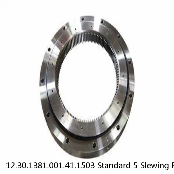 12.30.1381.001.41.1503 Standard 5 Slewing Ring Bearings