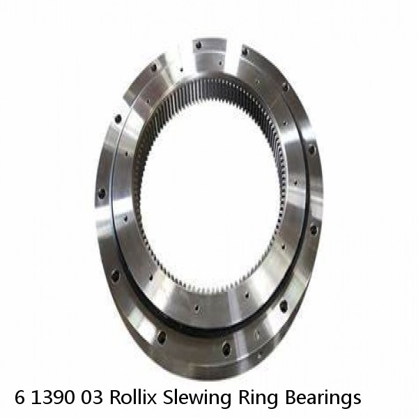 6 1390 03 Rollix Slewing Ring Bearings