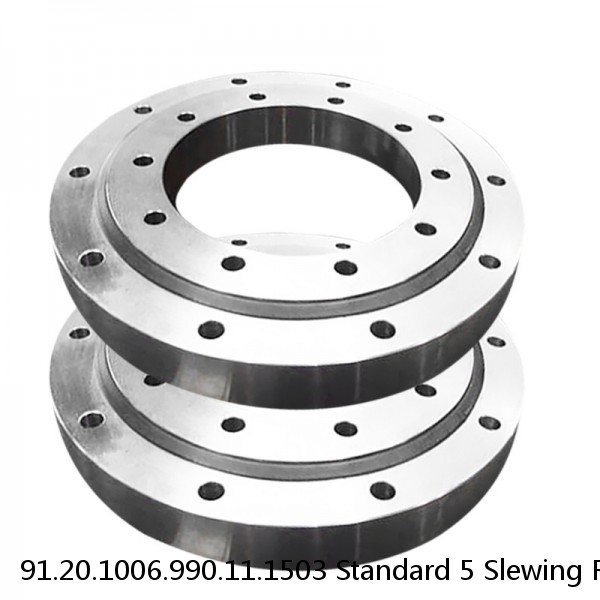 91.20.1006.990.11.1503 Standard 5 Slewing Ring Bearings