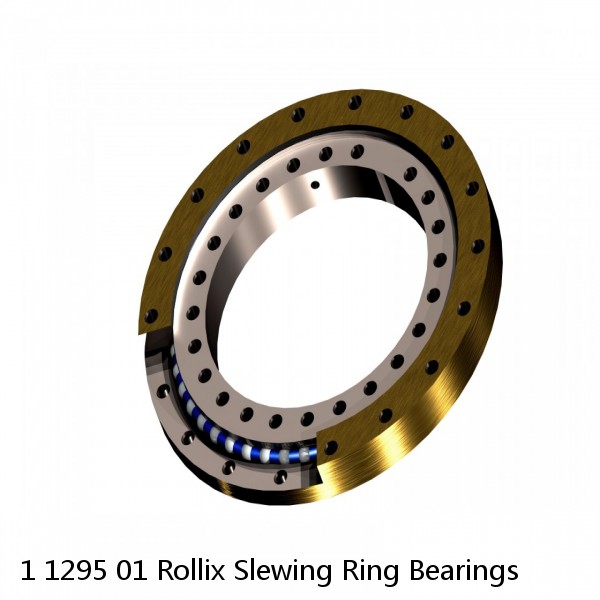 1 1295 01 Rollix Slewing Ring Bearings