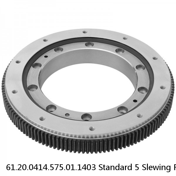 61.20.0414.575.01.1403 Standard 5 Slewing Ring Bearings