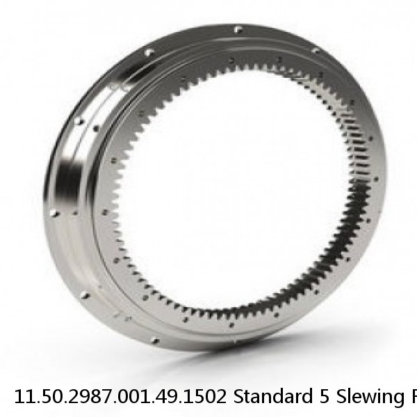 11.50.2987.001.49.1502 Standard 5 Slewing Ring Bearings