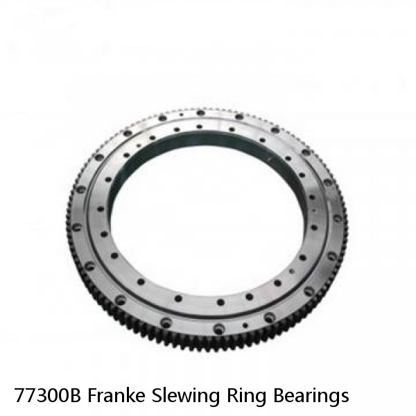 77300B Franke Slewing Ring Bearings