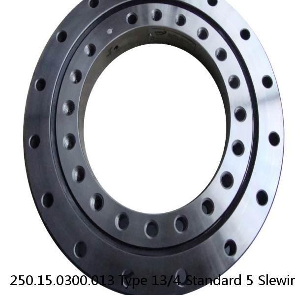 250.15.0300.013 Type 13/4 Standard 5 Slewing Ring Bearings