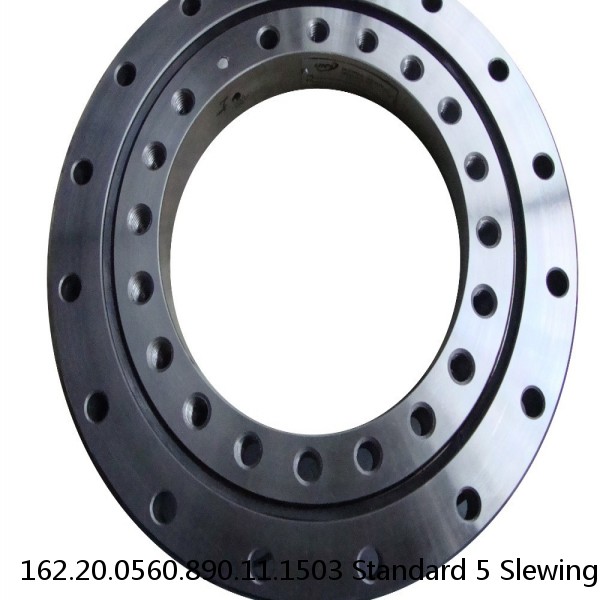 162.20.0560.890.11.1503 Standard 5 Slewing Ring Bearings