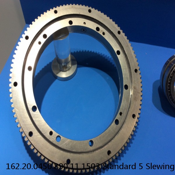 162.20.0450.890.11.1503 Standard 5 Slewing Ring Bearings