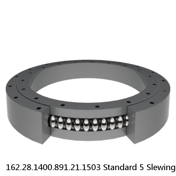 162.28.1400.891.21.1503 Standard 5 Slewing Ring Bearings