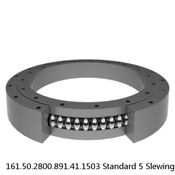 161.50.2800.891.41.1503 Standard 5 Slewing Ring Bearings