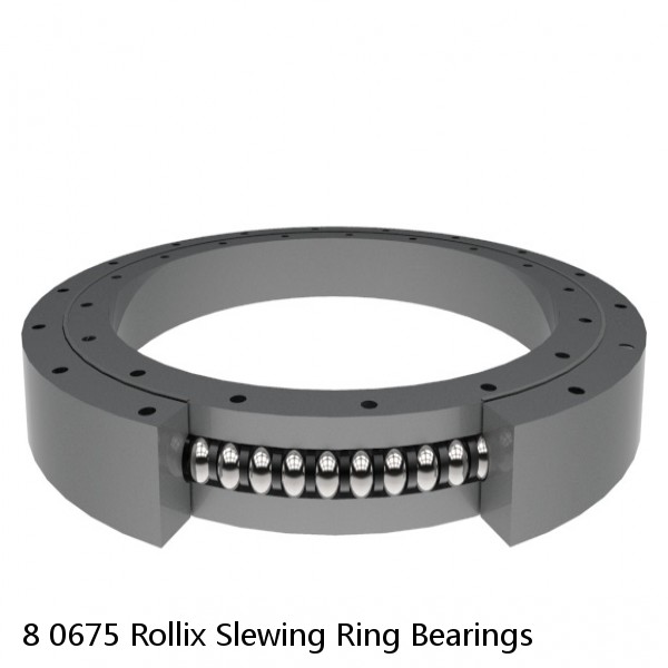 8 0675 Rollix Slewing Ring Bearings