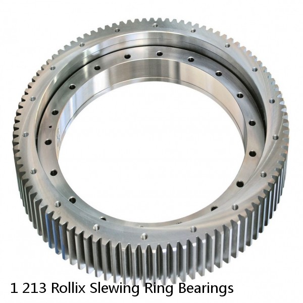 1 213 Rollix Slewing Ring Bearings