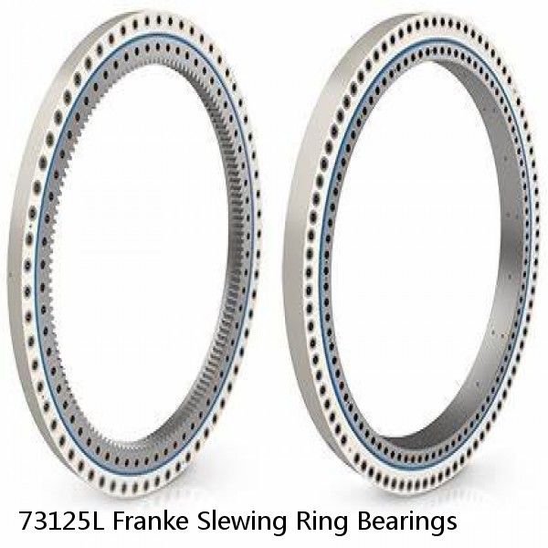 73125L Franke Slewing Ring Bearings