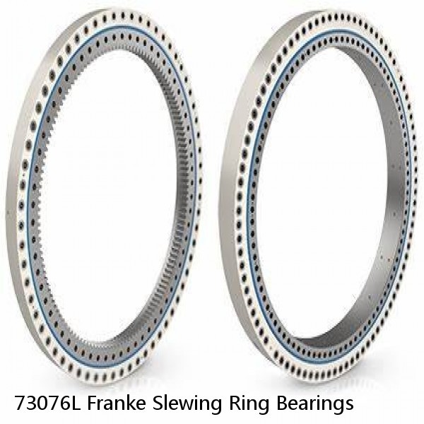 73076L Franke Slewing Ring Bearings