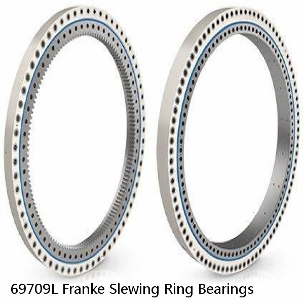 69709L Franke Slewing Ring Bearings