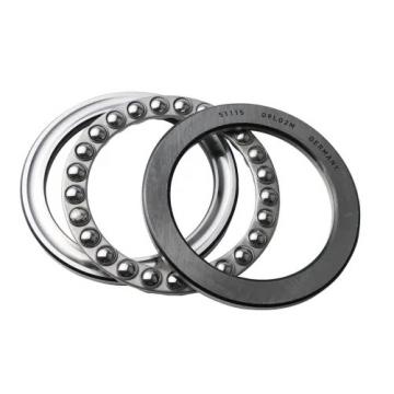 95 mm x 170 mm x 55.6 mm  KOYO NU3219 cylindrical roller bearings