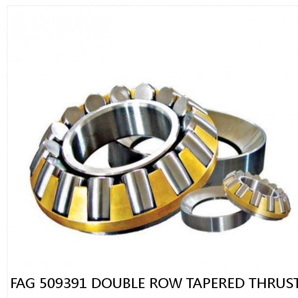 FAG 509391 DOUBLE ROW TAPERED THRUST ROLLER BEARINGS