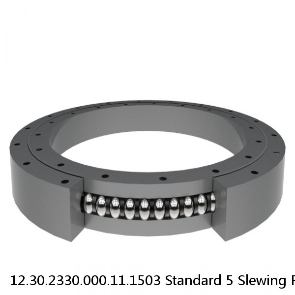 12.30.2330.000.11.1503 Standard 5 Slewing Ring Bearings