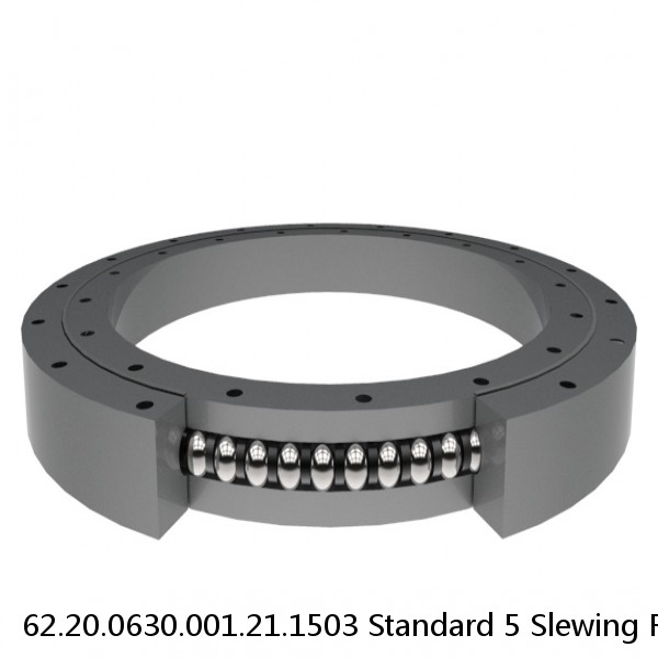 62.20.0630.001.21.1503 Standard 5 Slewing Ring Bearings