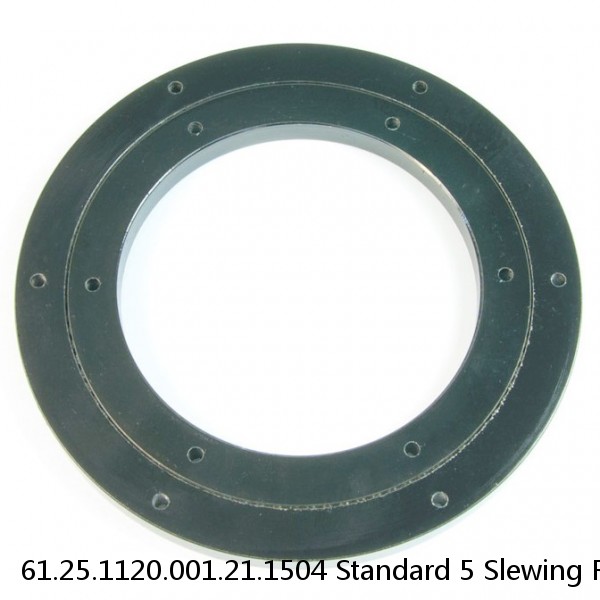 61.25.1120.001.21.1504 Standard 5 Slewing Ring Bearings