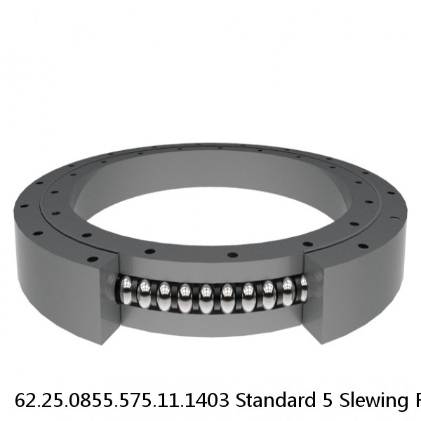 62.25.0855.575.11.1403 Standard 5 Slewing Ring Bearings