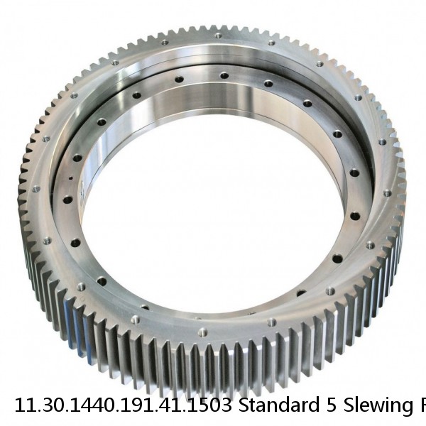 11.30.1440.191.41.1503 Standard 5 Slewing Ring Bearings