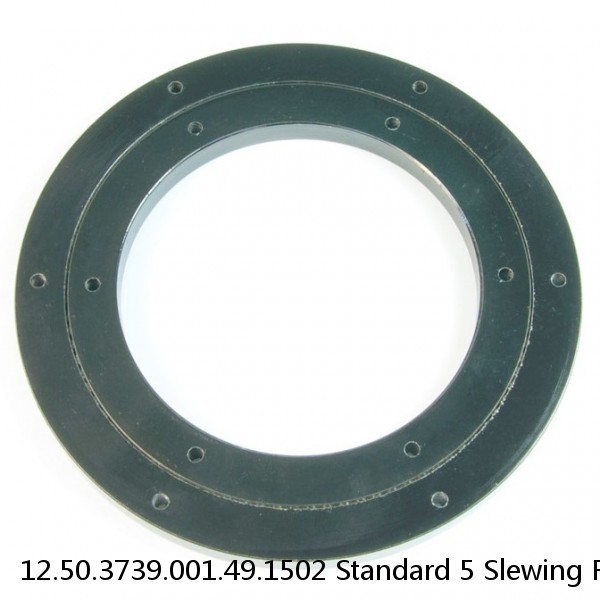 12.50.3739.001.49.1502 Standard 5 Slewing Ring Bearings